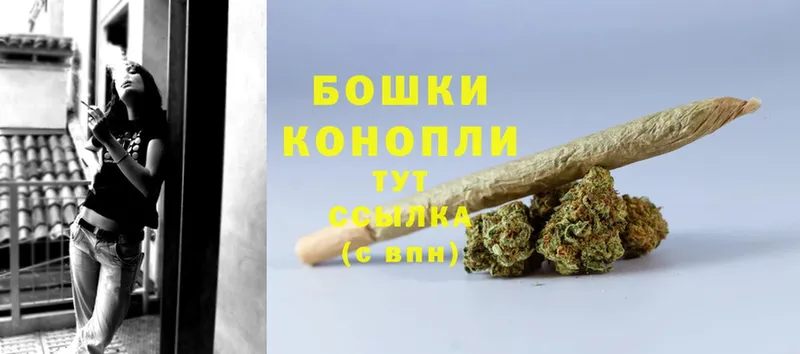 как найти наркотики  Пудож  Шишки марихуана White Widow 